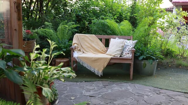 Backyard with bench pillows and plaid for relax. Terrace house with plants and flowers in pots, tree, armchair. Cozy outdoor space in patio. Wooden greenhouse with garden furniture.