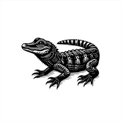 Obraz premium A detailed alligator drawing