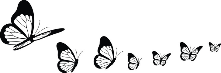Beautiful butterfly silhouettes with detailed wing patterns flying in a curved line, black vector design, nature-inspired delicate insect art