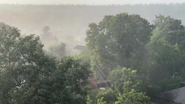 Heavy rain and strong wind in residential area &mdash; stormy weather, urban rainfall, extreme weather conditions, intense downpour in city