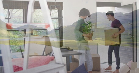 Carrying cardboard box and green potted plant, roommates unpacking entry with ladder and cushions