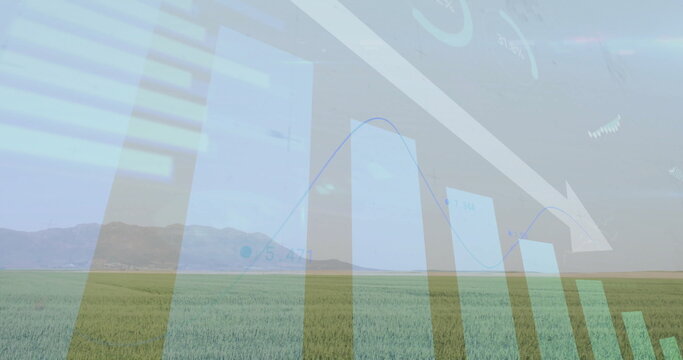 Displaying bar charts over crop field, with blue line graph, downward arrow and numeric labels - Powered by Adobe