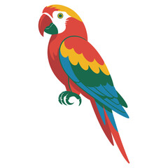 Fototapeta premium A vibrant, colorful parrot with blue and yellow feathers and a red beak stands isolated on a white background
