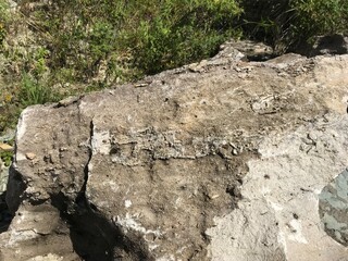 Rocha Sedimentar