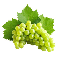 Obraz premium bunch of green grapes isolated on transparent background, png