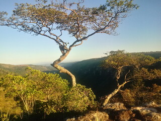 Parque do Guartel&aacute;
