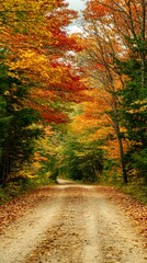 Obraz premium Autumn trail through red and golden trees in vibrant forest