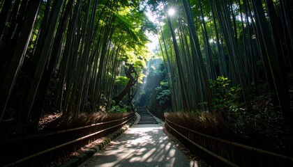 Fototapeta premium Illuminated Pathway Through Lush Bamboo Forest With Soft Sunlight Filtering Down in a Tranquil Natural Landscape