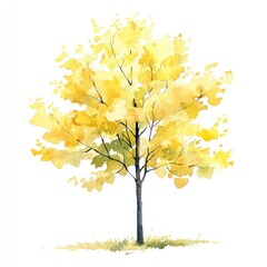 Obraz premium Ginkgo tree illustration watercolor painting.