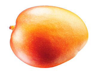 mango isolated on white background