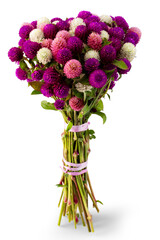 bouquet of pink and white chrysanthemum isolated on white background