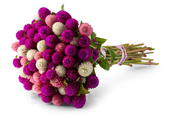 bouquet of pink and white chrysanthemum isolated on white background