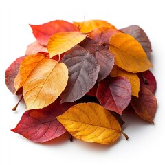 Pile of colorful fallen leaves, ranging from red and yellow to brown, isolated on a clean, bright white background offering a stark contrast