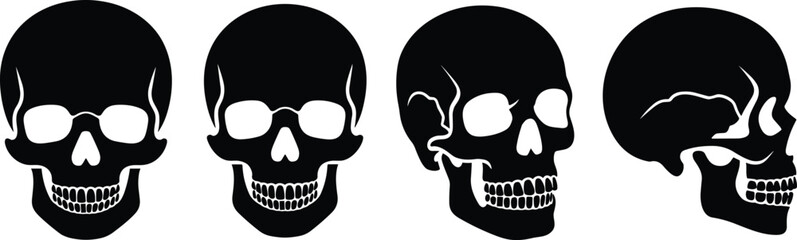 Skull vector silhouette, human skull illustration, black skull icon, Halloween skull art, cranium side view, front view skull, bone anatomy clipart, editable skull shapes