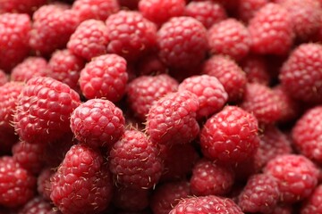 Many fresh ripe raspberries as background, closeup