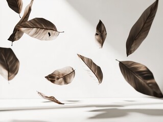 Floating autumn leaves isolated on white background with sunlit shadows create peaceful and minimalist abstract aesthetic
