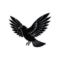 Fototapeta premium eagle in the form