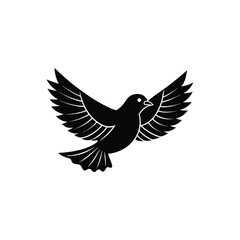 Obraz premium eagle with wings