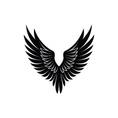 Obraz premium eagle with wings