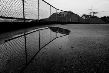 雨の後で