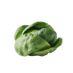 Obraz premium Fresh, crisp green lettuce, perfect for salads or garnishes, featuring vivid leaves and a subtle sheen against a white isolate background.