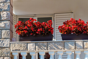 a beautiful balcony and a fence with balustrades is decorated with flowerpots, a stone decorative wall is illuminated by bright sunlight