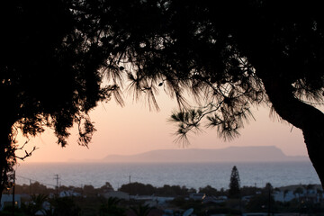 Sunset in Crete. Branch of a conifer tree in front of a headland in Crete