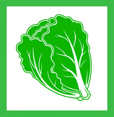 Cabbage Icon Outline, Green Vegetable Symbol