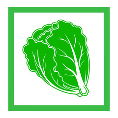 Cabbage Icon Outline, Green Vegetable Symbol