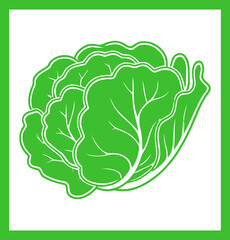 Cabbage, Green Vegetable Symbol