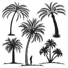 Fototapeta premium Collection of stylized silhouette illustrations of various palm trees in different poses and sizes