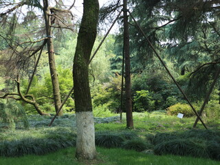 Public park in a sunny day