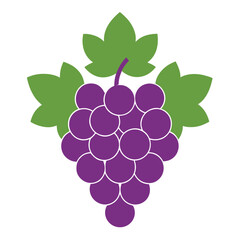 A fresh bunch of ripe grapes with leaves, isolated on a white background