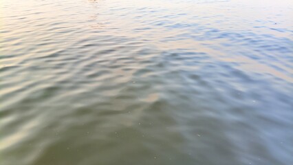 Calm ocean water with smooth flowing waves, providing a peaceful and soothing coastal atmosphere