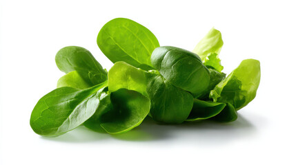 Produce plant concept Fresh produce from plant, this vibrant green lettuce showcases its crisp leaves, perfect for healthy meals