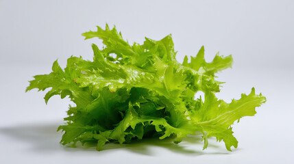 Produce plant concept Fresh produce from plant, this leafy green is perfect for salads and adds crisp texture to dishes