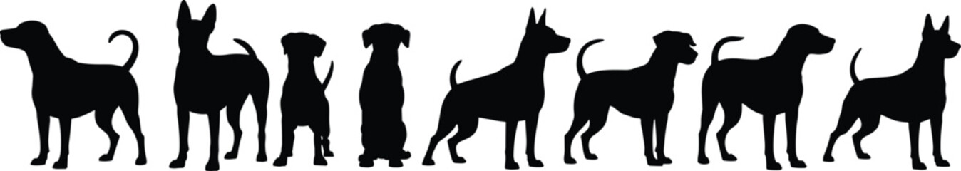 Silhouettes of various dog breeds standing in a row, black vector illustration, different dog postures, pet shapes, canine profiles, dog breed diversity, isolated on white background