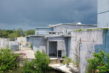Abandoned Industrial Building Overgrown With Vines and Outdoor Graffiti Art. Urban with decay...