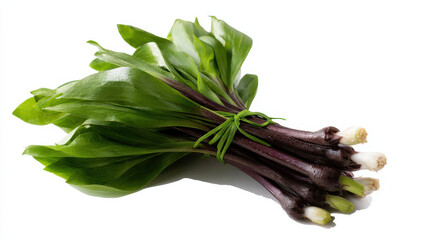 Produce plant concept Fresh produce plant with vibrant green leaves and purple stems, perfect for culinary dishes and garnishes