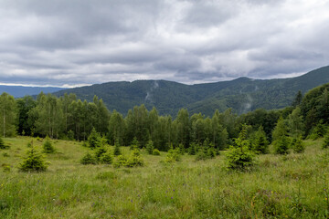 Fototapeta premium Yavirnyk meadow in the Carpathians near town Yaremche, Ukraine 