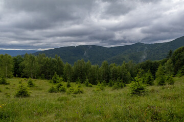  Yavirnyk meadow in the Carpathians near town Yaremche, Ukraine
