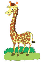 Fototapeta premium A giraffe looking up smiling