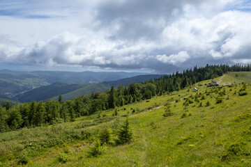 Fototapeta premium Yavirnyk meadow in the Carpathians near town Yaremche, Ukraine 