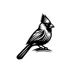 Obraz premium Black and White Cardinal Illustration 1.