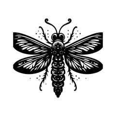 Detailed Black and White Dragonfly Illustration.