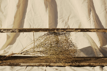 Natural style dried plant against organic tan cloth backdrop.