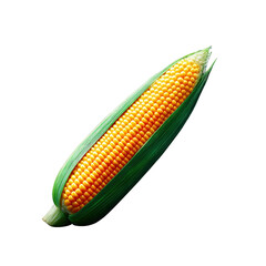 Fresh Yellow Corn on Green Husk Isolated on Transparent Background