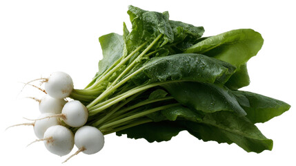 Produce plant concept Fresh produce from plant featuring white radishes with green leaves showcasing their natural beauty and freshness