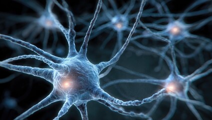 Close-up view of interconnected neurons