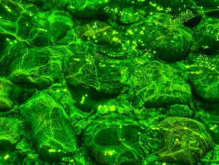 Glimmering Green Stones Under Clear Water. High-Resolution Abstract Background. Beautiful Image for Wallpapers Social Media, Marketing, and Nature-Inspired Creative Projects